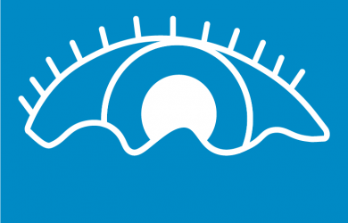 eye illustration